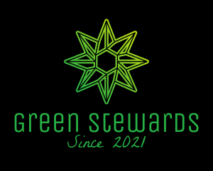 Green Environmental Star  logo design