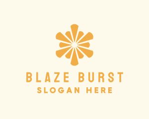 Elegant Sun Burst logo design