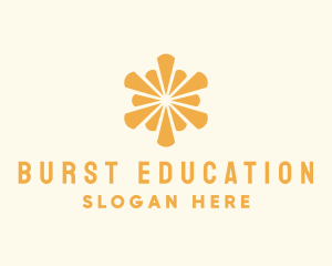 Elegant Sun Burst logo