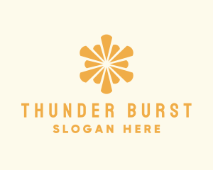 Elegant Sun Burst logo design