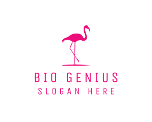 Pink Flamingo Silhouette logo design