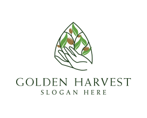 Olive Plant Farming   logo design