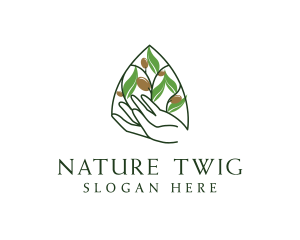 Olive Plant Farming   logo design