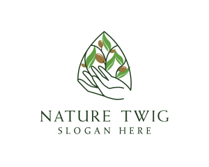 Olive Plant Farming   logo