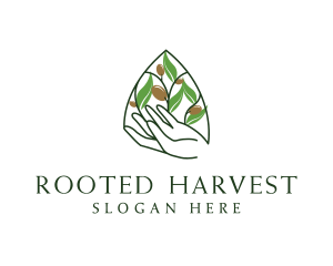 Olive Plant Farming   logo design