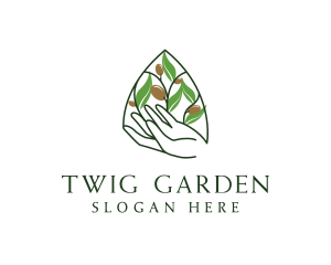 Olive Plant Farming   logo design