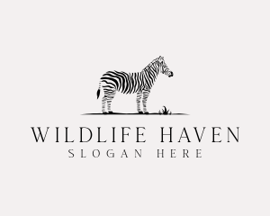 Wildlife Zebra Zoo logo design