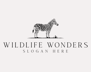 Wildlife Zebra Zoo logo design