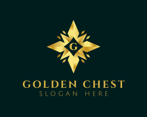 Golden Star Letter logo design