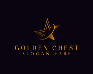 Premium Luxury Star logo design