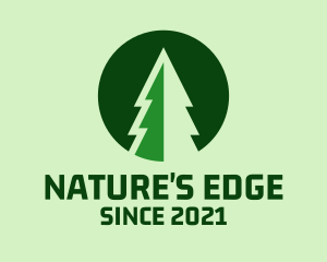 Pine Forest Nature  logo design