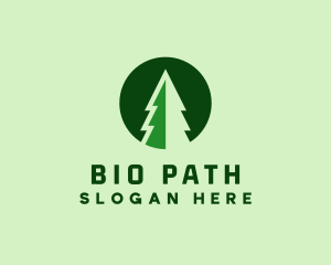 Pine Forest Nature  logo design