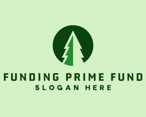 Pine Forest Nature  logo design