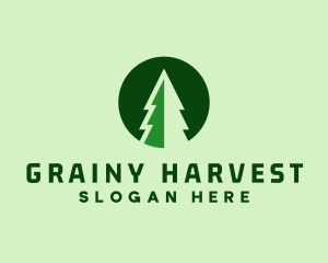 Pine Forest Nature  logo design