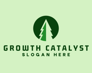 Pine Forest Nature  logo design