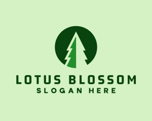 Pine Forest Nature  logo design