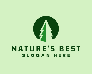 Pine Forest Nature  logo design