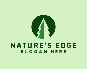 Pine Forest Nature  logo design