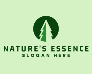 Pine Forest Nature  logo design