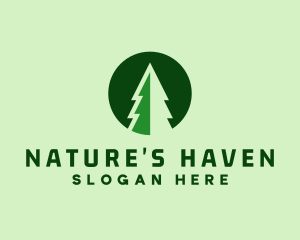 Pine Forest Nature  logo design