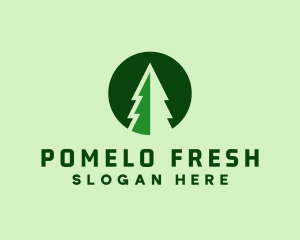 Pine Forest Nature  logo design