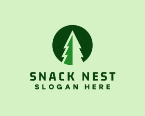 Pine Forest Nature  logo design