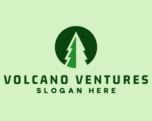 Pine Forest Nature  logo design