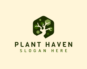 Nature Plant Tree logo design