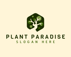 Nature Plant Tree logo design