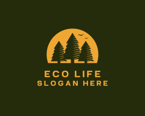 Pine Tree Forest logo design