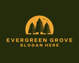 Pine Tree Forest logo design