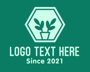 Green Plant Hexagon logo