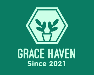 Green Plant Hexagon logo