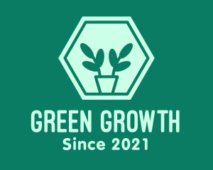 Green Plant Hexagon logo design