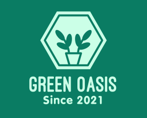 Green Plant Hexagon logo design