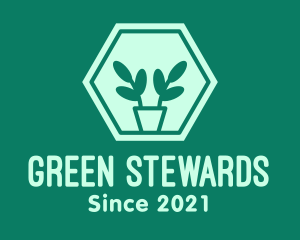 Green Plant Hexagon logo design