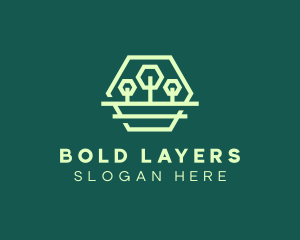 Green Forest Trees Hexagon logo design