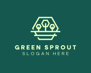 Green Forest Trees Hexagon logo design