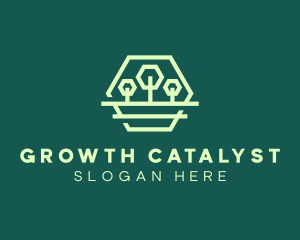 Green Forest Trees Hexagon logo design