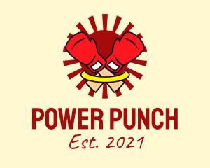 Sun Boxing Gloves logo