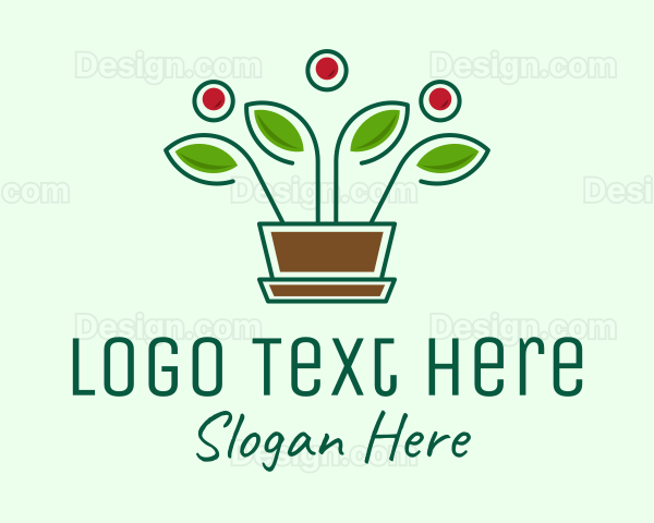 Blooming Flower Pot Plant Logo