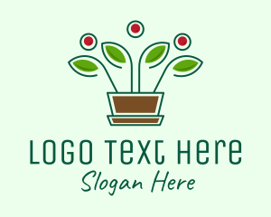 Blooming Flower Pot Plant  logo