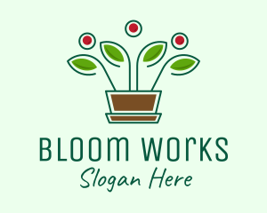 Blooming Flower Pot Plant  logo design