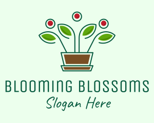 Blooming Flower Pot Plant  logo