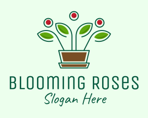 Blooming Flower Pot Plant  logo design