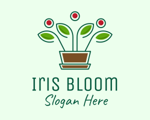 Blooming Flower Pot Plant  logo design