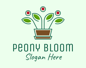 Blooming Flower Pot Plant  logo design