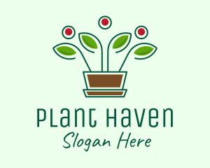 Blooming Flower Pot Plant  logo design