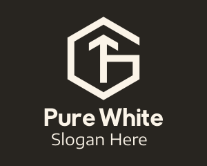 White Hexagon Letter G & T logo design