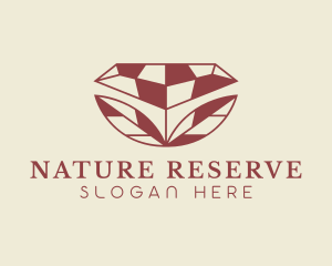 Nature Crystal Diamond logo design